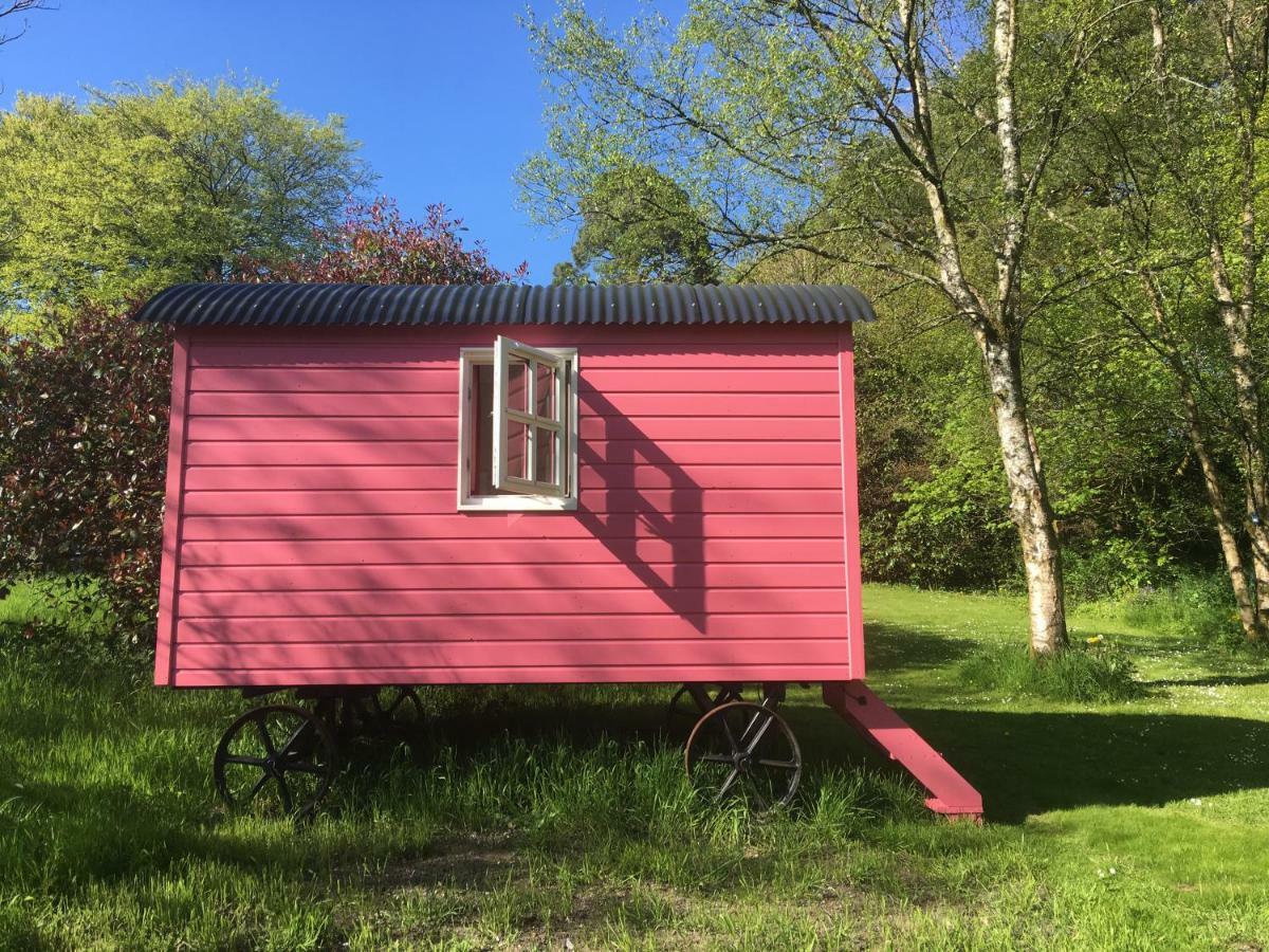 Blackstairs Shepherds Huts Killedmond Exterior photo